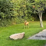 Westermarkelsdorf Fehmarn